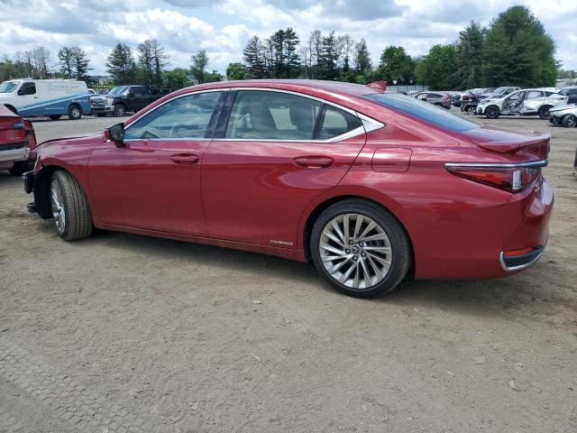 2019 Lexus Es 300H VIN: JTHB21B13K2020361 Lot: 55799764