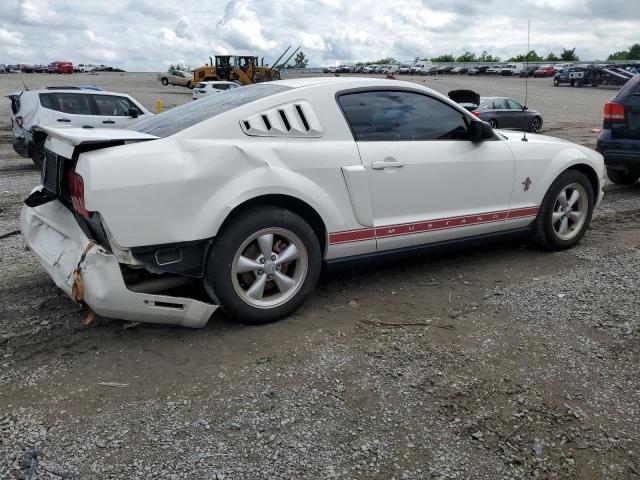 2008 Ford Mustang VIN: 1ZVHT80N385171762 Lot: 52591264