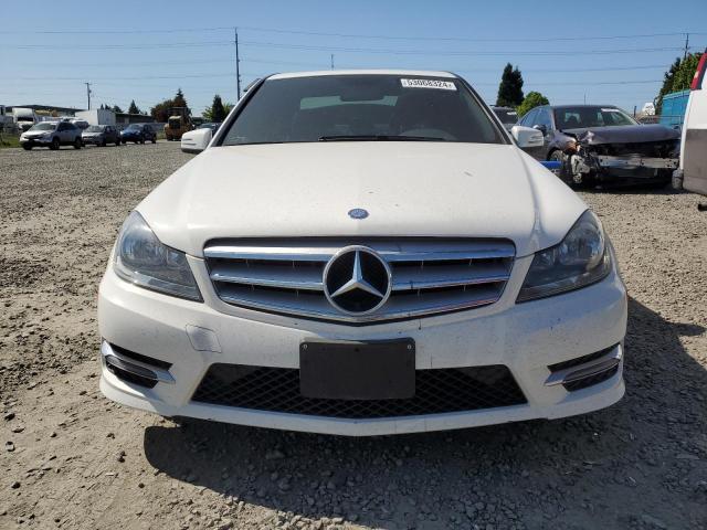 2013 Mercedes-Benz C 300 4Matic VIN: WDDGF8AB8DG146662 Lot: 53068324