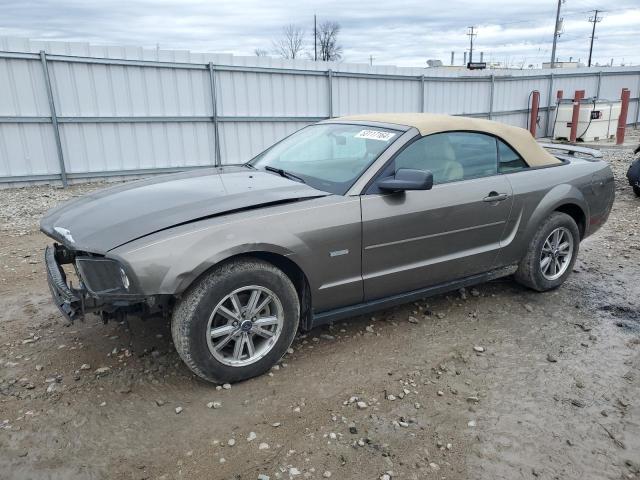 Lot #2519811259 2005 FORD MUSTANG salvage car