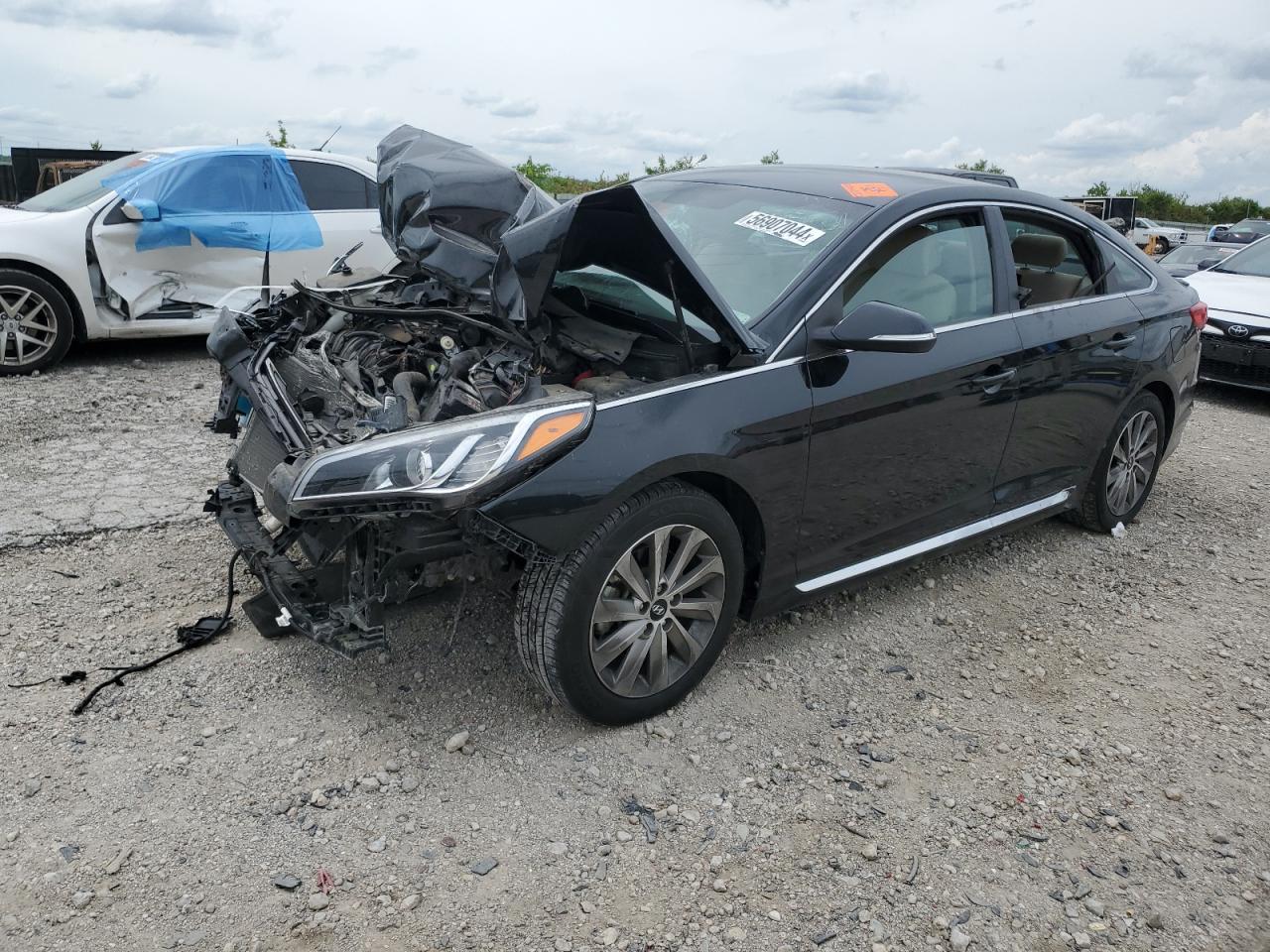 Lot #2809544303 2015 HYUNDAI SONATA SPO