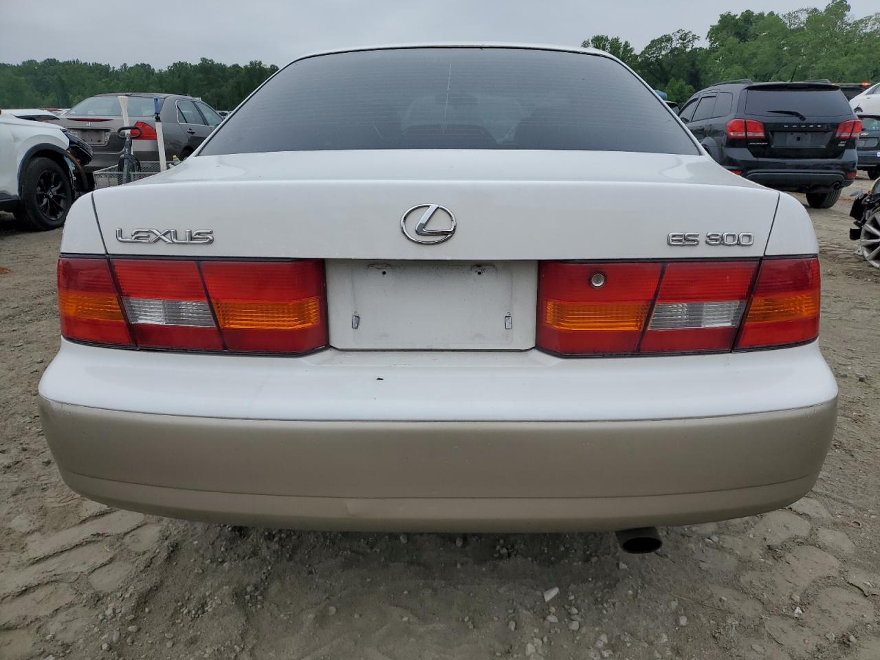 JT8BF28G9X0192029 1999 Lexus Es 300