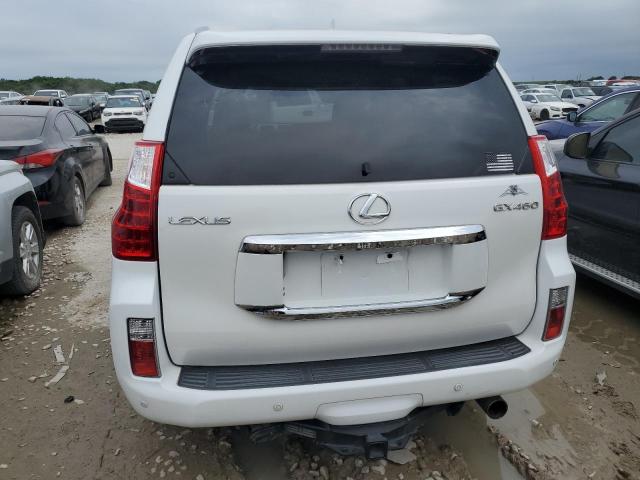 2010 Lexus Gx 460 VIN: JTJBM7FX4A5004256 Lot: 53286784