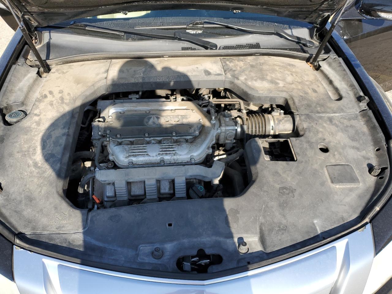 19UUA86239A014781 2009 Acura Tl