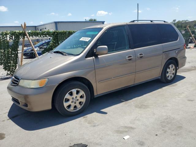 2004 Honda Odyssey Ex VIN: 5FNRL18894B086821 Lot: 56809324