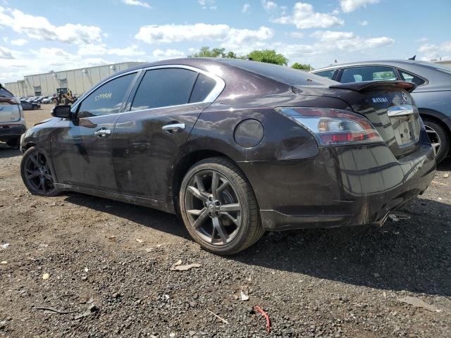 2013 Nissan Maxima S VIN: 1N4AA5AP9DC806360 Lot: 53977864