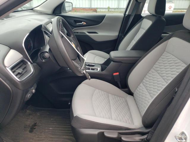 2019 Chevrolet Equinox Ls VIN: 2GNAXSEV1K6269710 Lot: 54974264