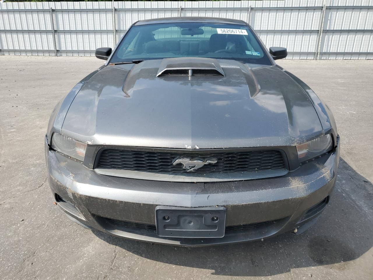 1ZVBP8AN9A5138120 2010 Ford Mustang