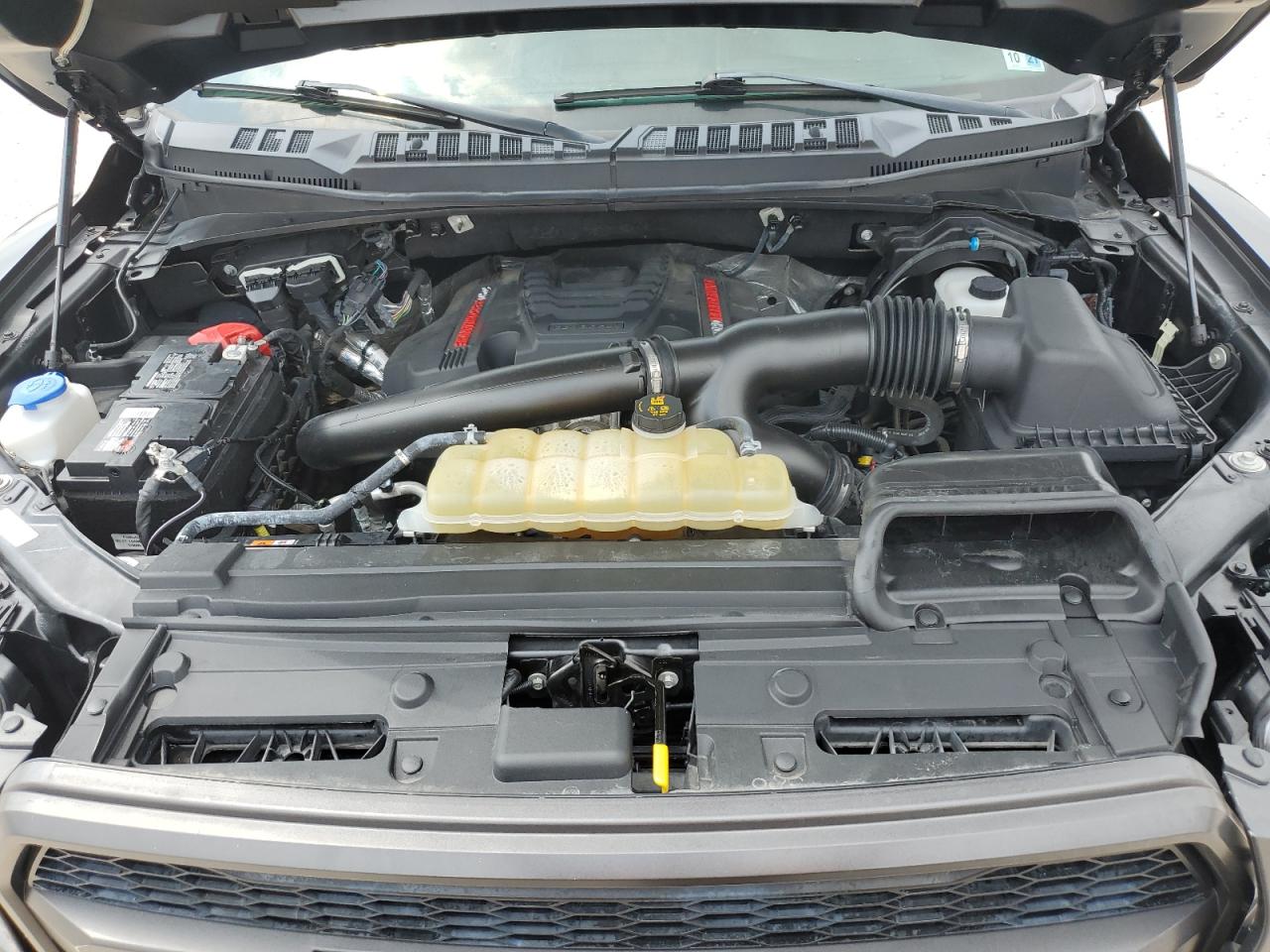 1FTFW1RG5KFD16718 FORD F150 2019