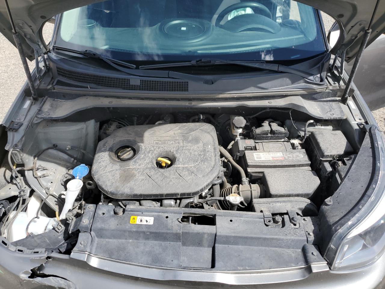 KNDJP3A51K7006069 2019 Kia Soul +