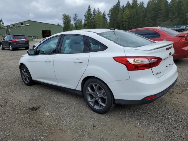 2013 Ford Focus Se VIN: 1FADP3F28DL245582 Lot: 55419194