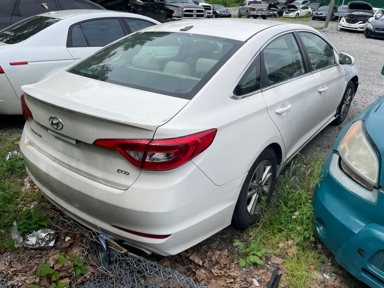 5NPE24AA7GH414940 2016 Hyundai Sonata Eco