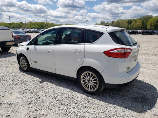 2013 Ford C-Max Premium VIN: 1FADP5CU1DL527127 Lot: 54218134