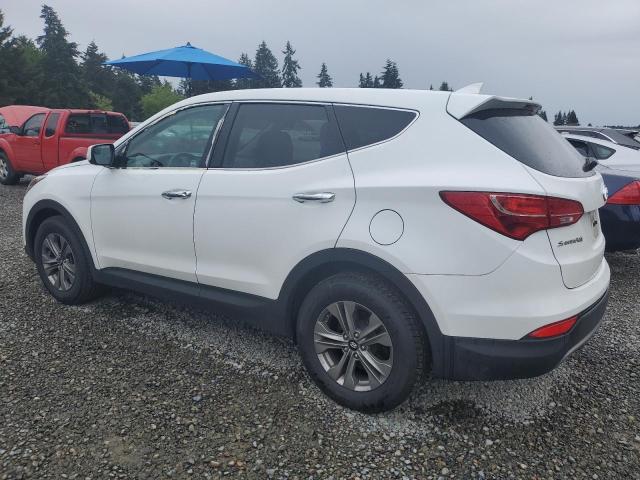 2016 Hyundai Santa Fe Sport VIN: 5XYZTDLB6GG323301 Lot: 56008784