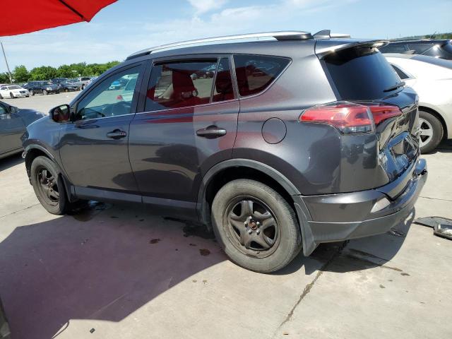 2016 Toyota Rav4 Le VIN: 2T3BFREVXGW442743 Lot: 52892894