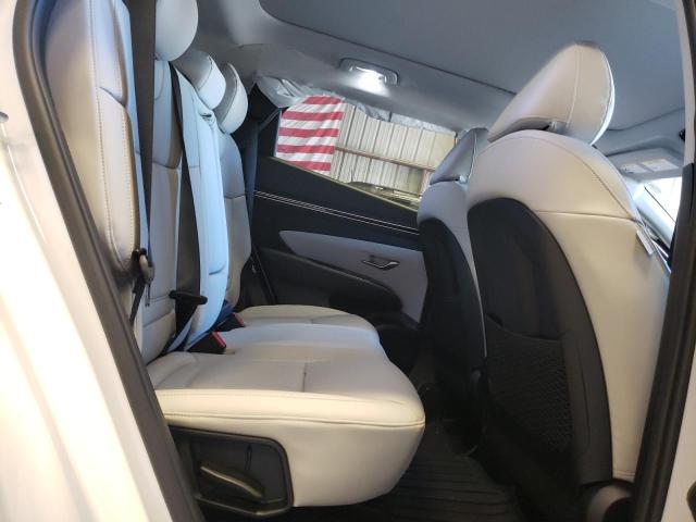 2023 HYUNDAI TUCSON LIM - 5NMJECAE3PH223533