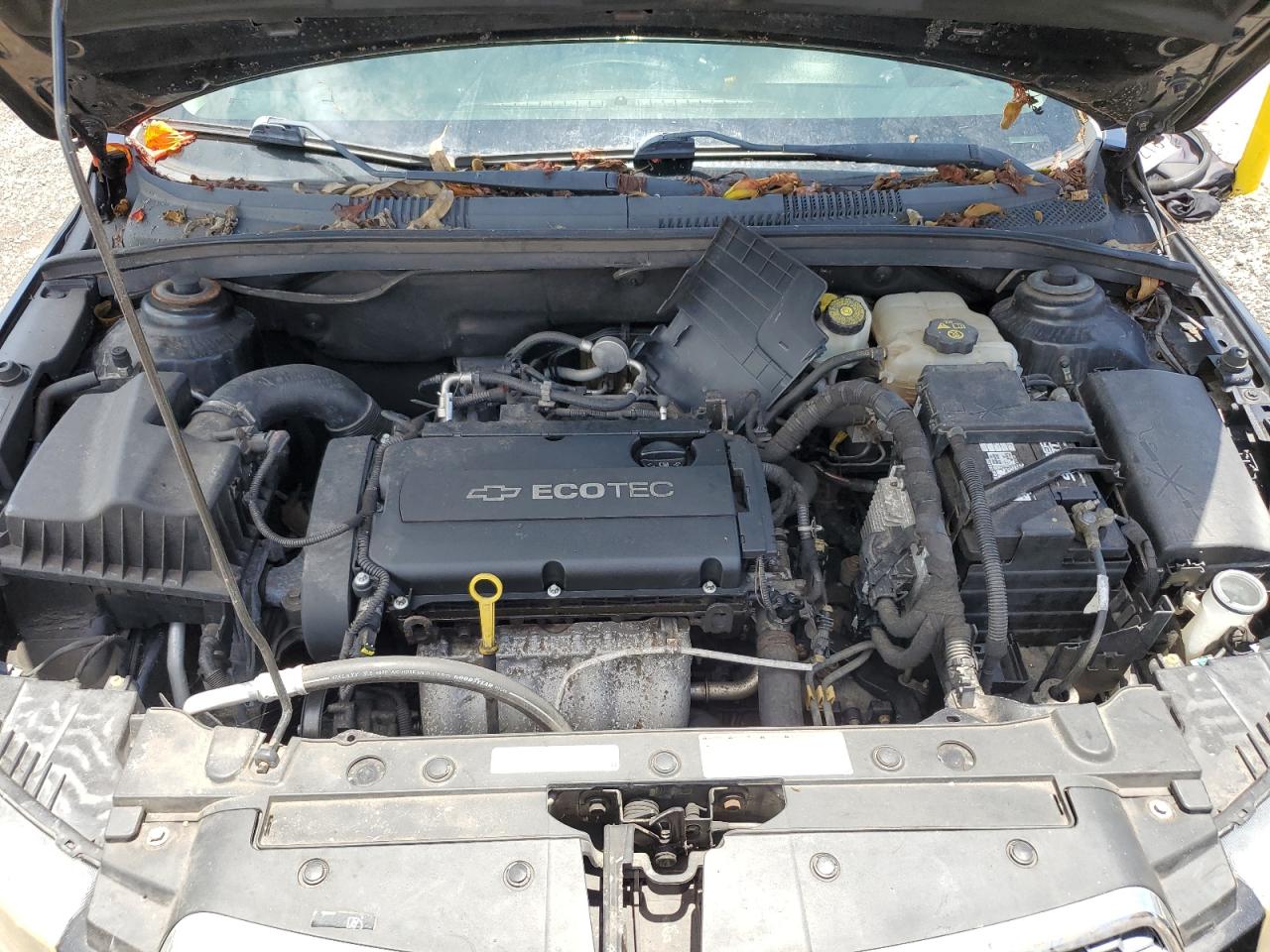 1G1PC5SH7B7221250 2011 Chevrolet Cruze Ls