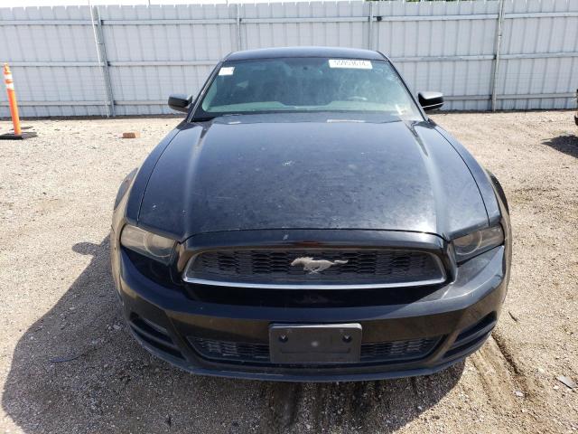 2014 Ford Mustang VIN: 1ZVBP8AM9E5323295 Lot: 55953614