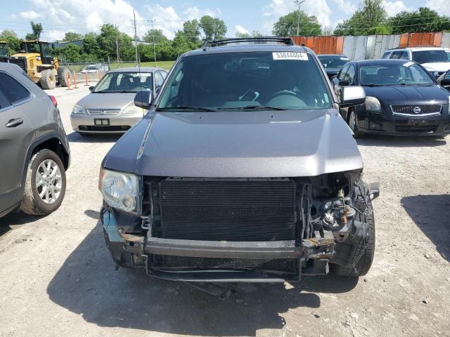 2009 Ford Escape Limited VIN: 1FMCU04789KD07518 Lot: 53844404