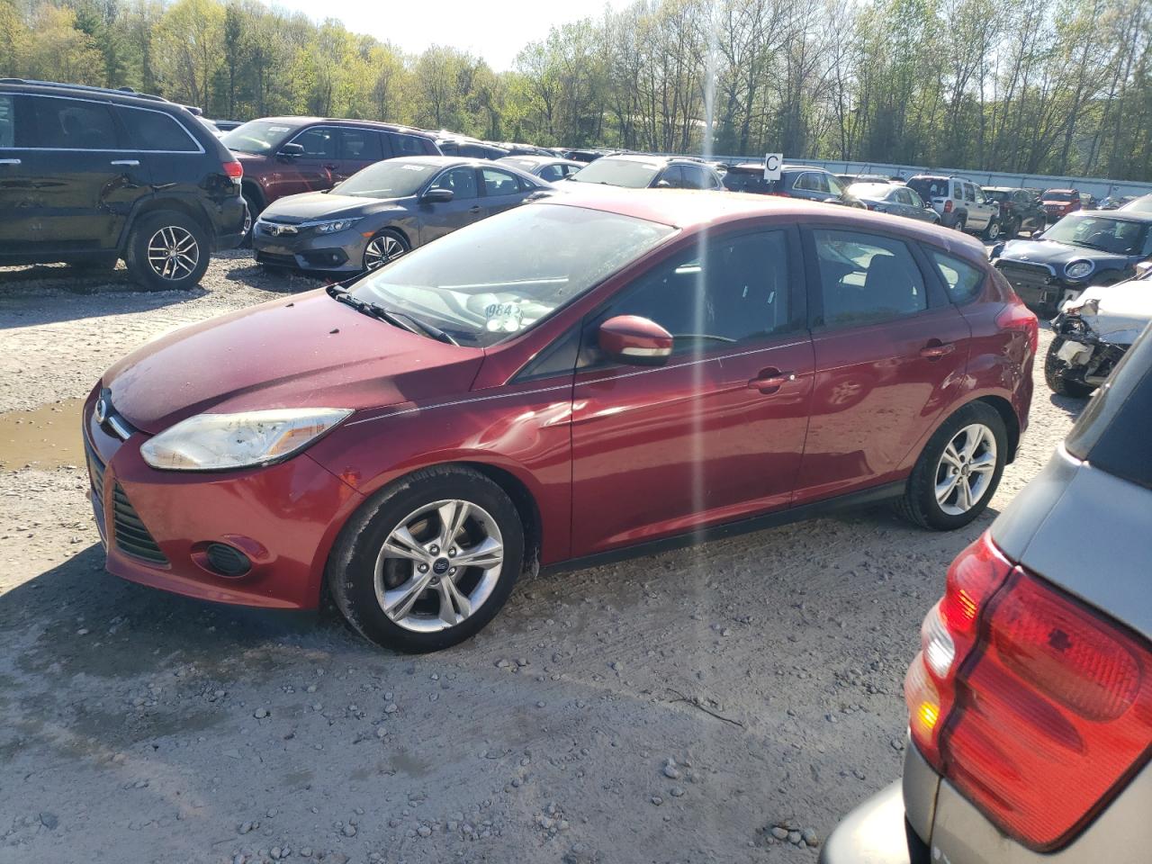 2013 Ford Focus Se vin: 1FADP3K21DL323299