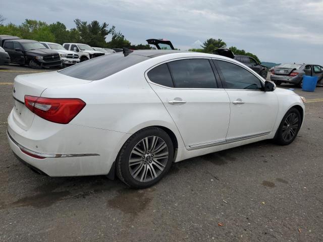 2014 Kia Cadenza Premium VIN: KNALN4D79E5150953 Lot: 54168524