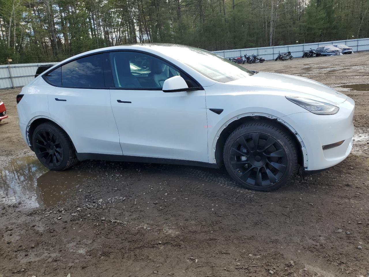 2021 Tesla Model Y vin: 5YJYGDEE0MF119815