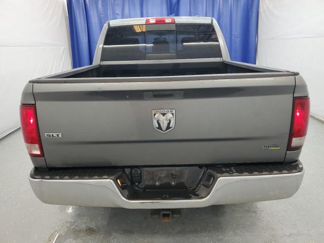 2010 Dodge Ram 1500 VIN: 1D7RB1CP1AS206293 Lot: 54161384