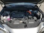 LEXUS NX 350H BA photo