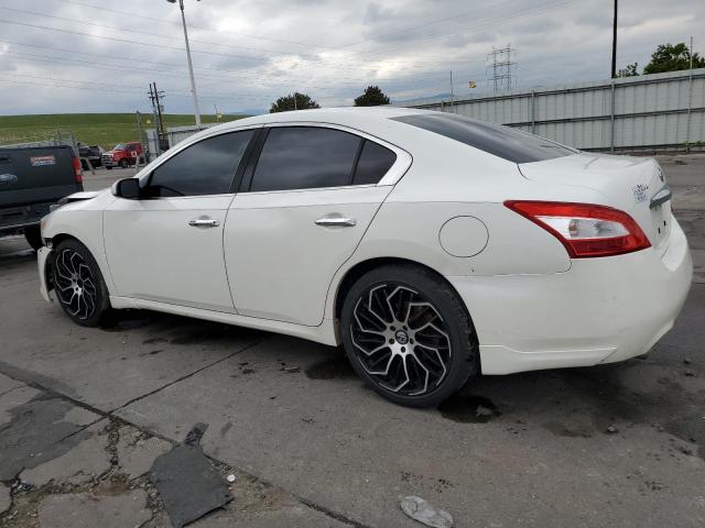 2009 Nissan Maxima S VIN: 1N4AA51E89C802483 Lot: 54622244