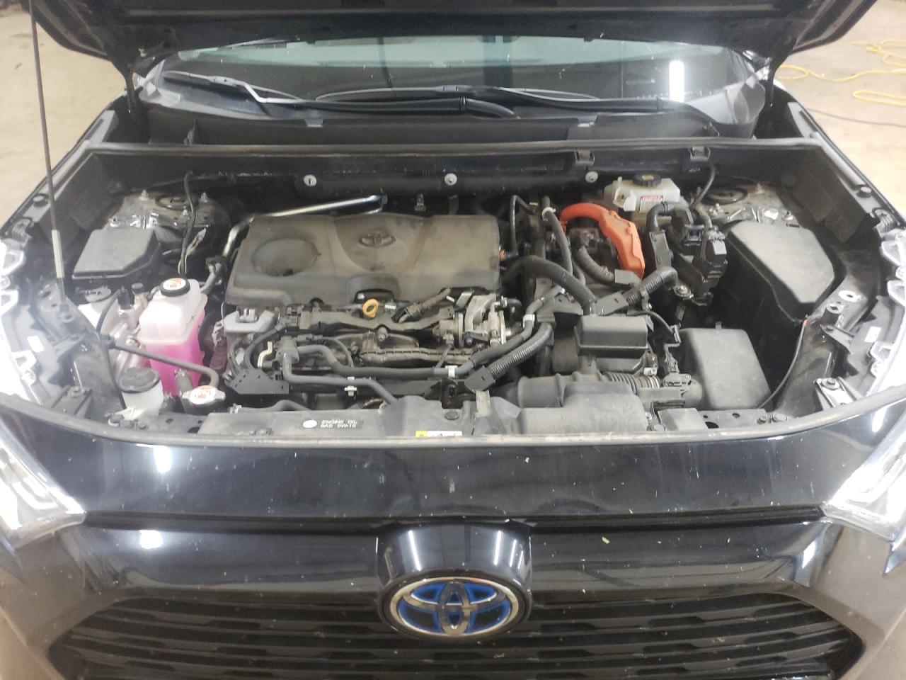 4T3RWRFV8MU034296 TOYOTA RAV4 2021