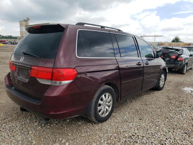 2009 Honda Odyssey Exl VIN: 5FNRL38719B406515 Lot: 54977534