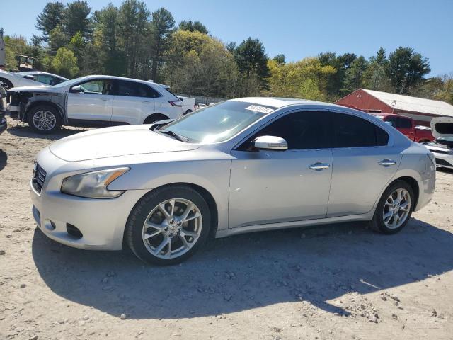 Lot #2519481897 2013 NISSAN MAXIMA S salvage car