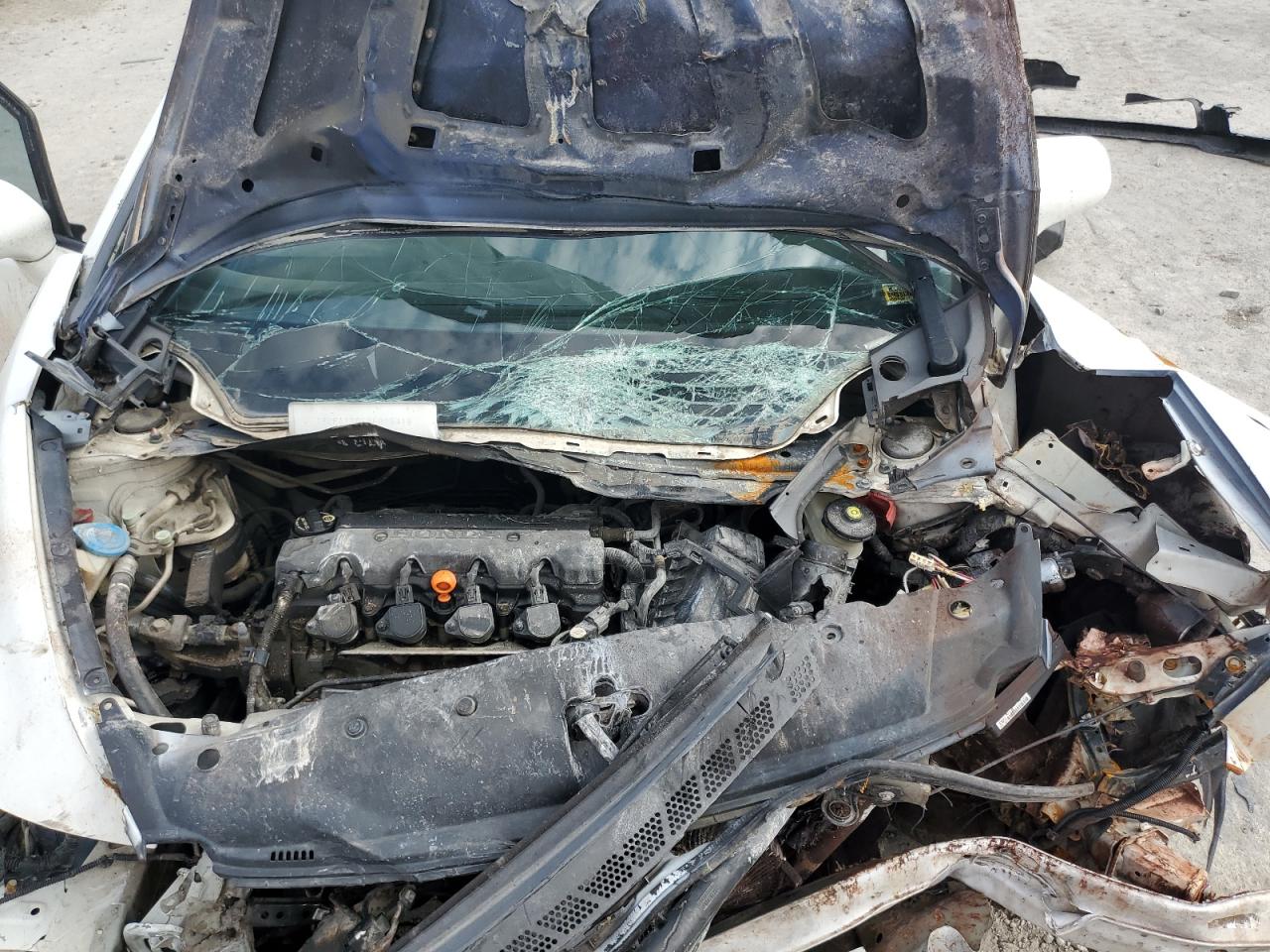 19XFA16619E005415 2009 Honda Civic Lx-S