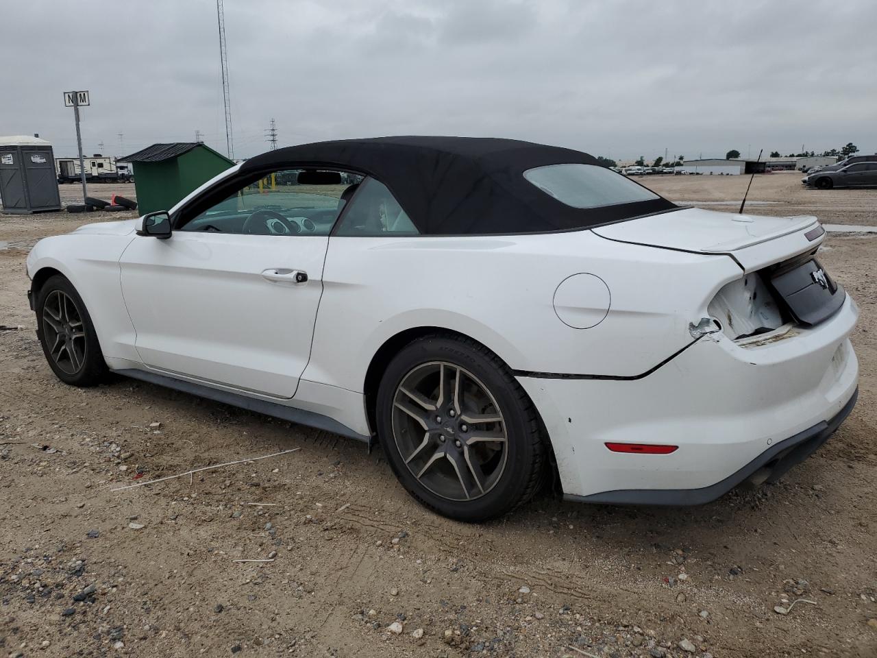 1FATP8UH9K5149316 2019 Ford Mustang