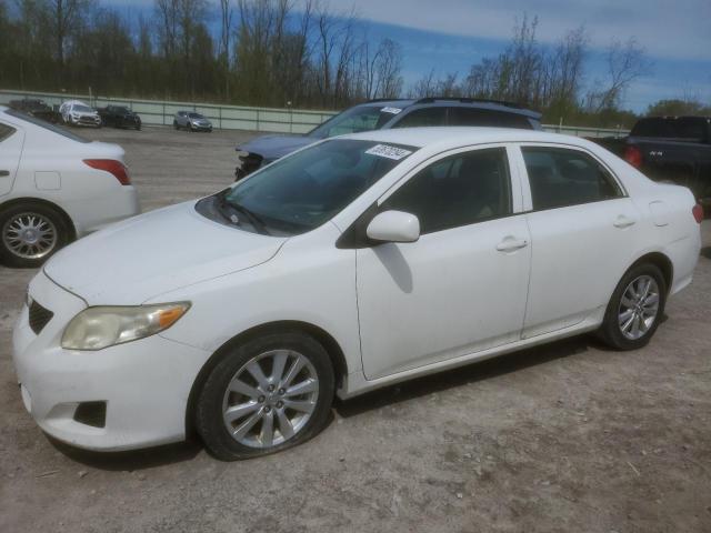 2009 Toyota Corolla Base VIN: 2T1BU40E39C036462 Lot: 53670294