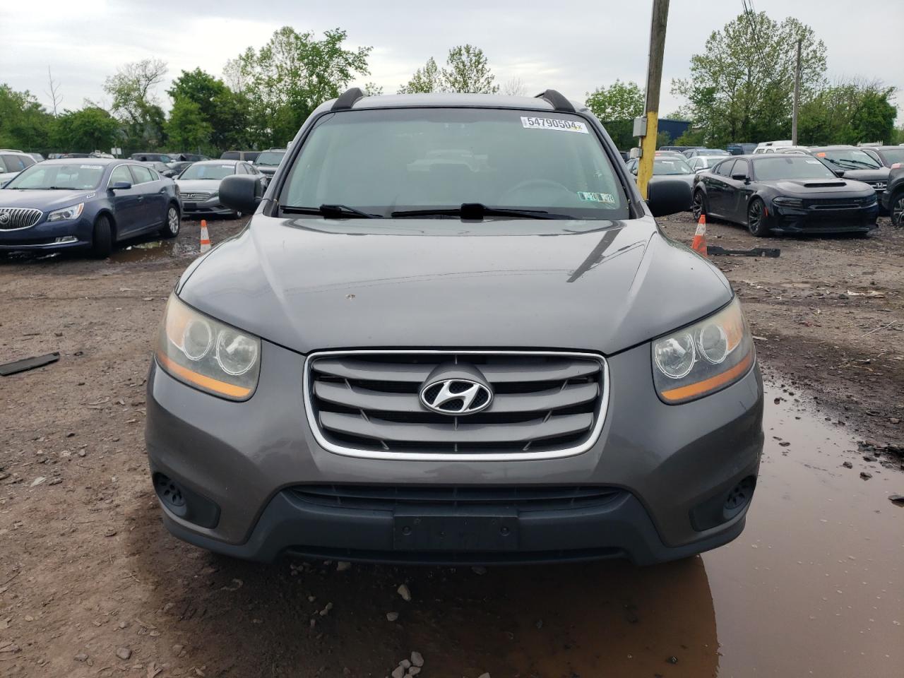 5NMSGDAB1AH417186 2010 Hyundai Santa Fe Gls