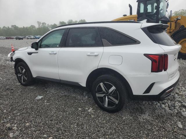 2023 Kia Sorento Ex VIN: 5XYRH4LFXPG165744 Lot: 54307624