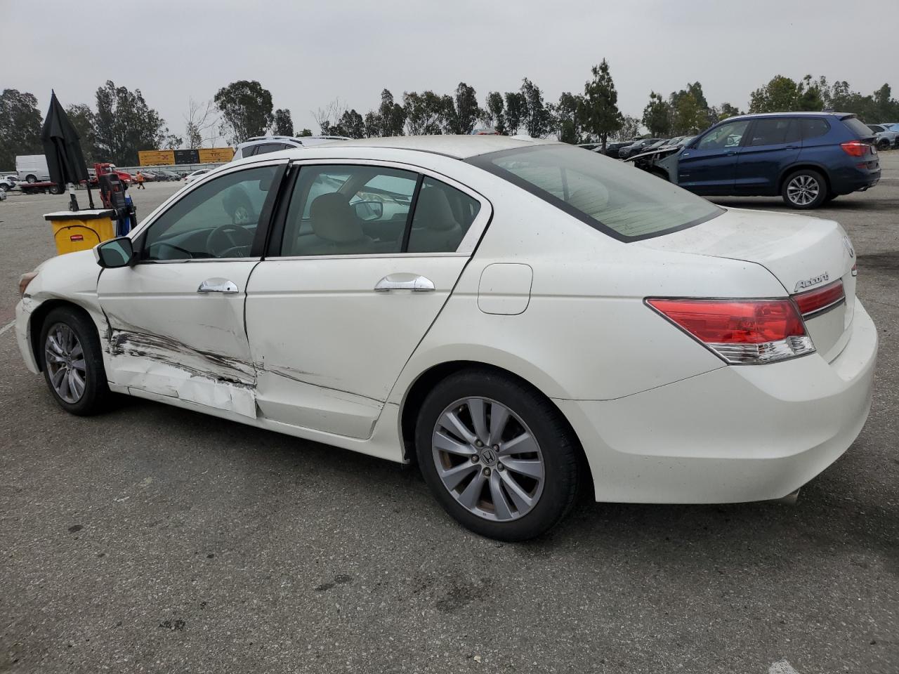 5KBCP3F86BB001554 2011 Honda Accord Exl