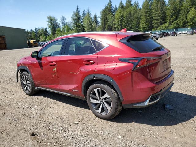 2020 Lexus Nx 300H VIN: JTJGJRDZ6L5005846 Lot: 57447414