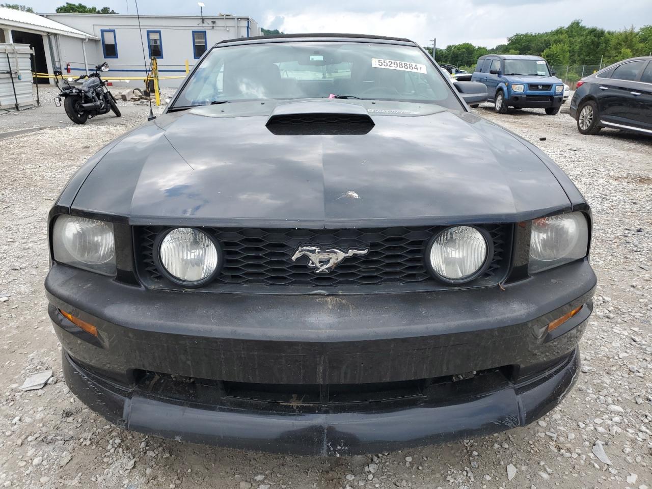 1ZVHT85H385116618 2008 Ford Mustang Gt