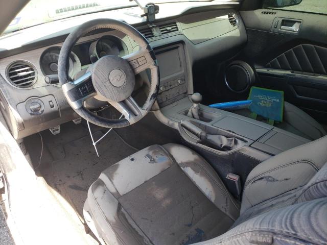 2013 Ford Mustang Gt VIN: 1ZVBP8CF6D5249637 Lot: 54319594