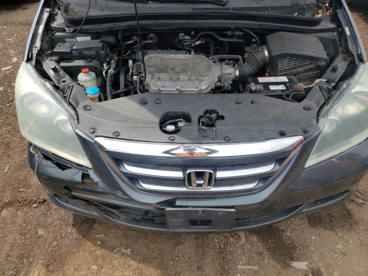 5FNRL38766B455432 2006 Honda Odyssey Exl