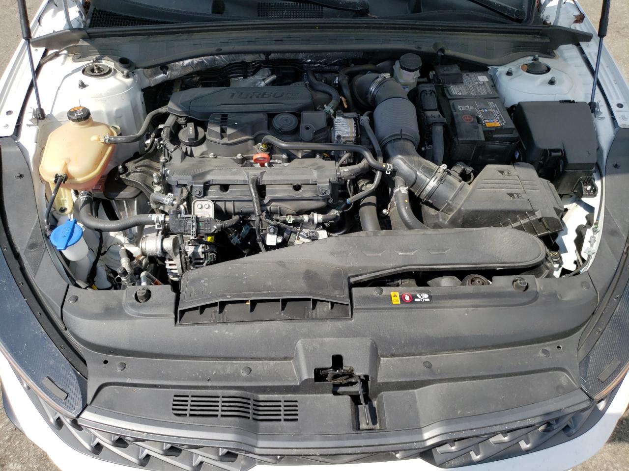 5XXG64J25RG233811 2024 Kia K5 Gt Line