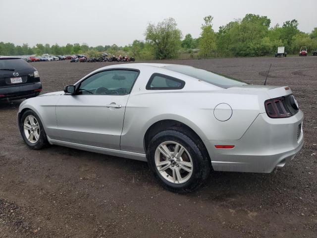 2014 Ford Mustang VIN: 1ZVBP8AM5E5287444 Lot: 54432884