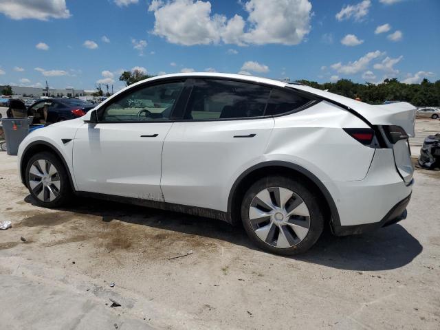 2021 Tesla Model Y VIN: 5YJYGDEE7MF183236 Lot: 55366634