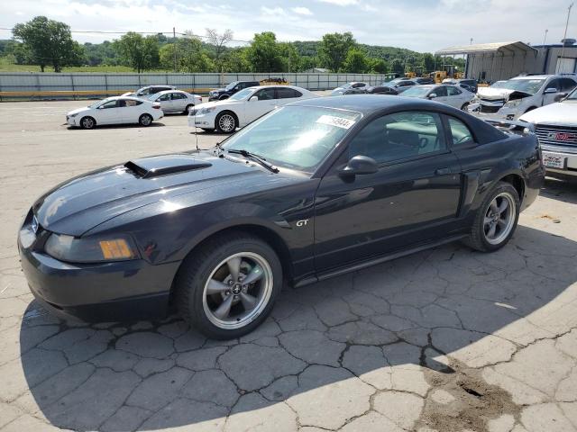 2001 Ford Mustang Gt VIN: 1FAFP42X91F264037 Lot: 52954944