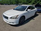 NISSAN MAXIMA S photo