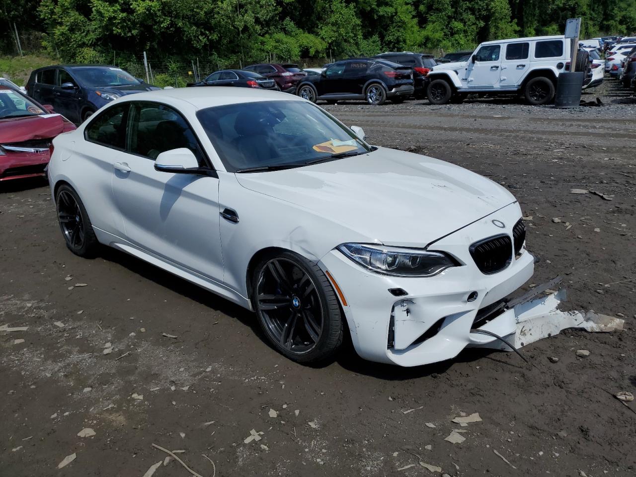 WBS1H9C34HV887231 2017 BMW M2