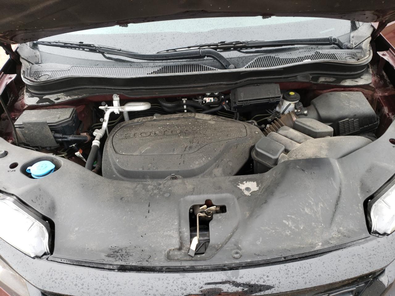 5FNYF8H56MB033723 HONDA PASSPORT 2021