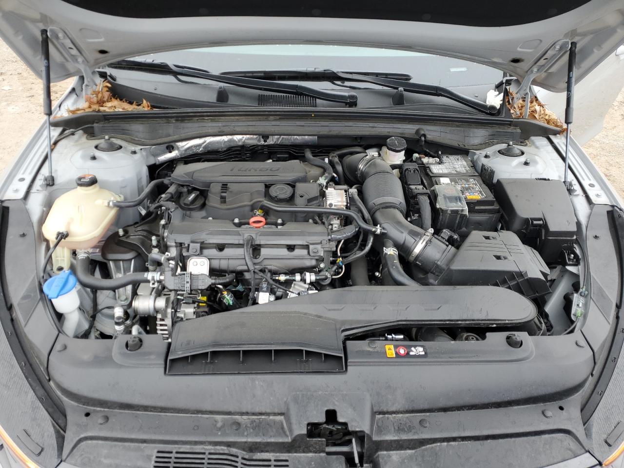 5XXG64J24RG243388 2024 Kia K5 Gt Line